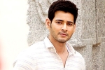 Bharat anu Nenu, Spyder updates, mahesh babu to take a long break, Bharat anu nenu