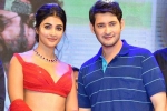 Pooja Hegde future projects, Pooja Hegde news, mahesh babu all set to romance pooja hegde again, Maharshi Pooja Hegde future projects, Pooja Hegde news, mahesh babu all set to romance pooja hegde again, Maharshi