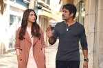 Manmadhudu 2 movie review and rating, Manmadhudu 2 movie story, manmadhudu 2 movie review rating story cast and crew, Manmadhudu 2