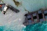 oil spill, MV Wakashio, everything about mauritius oil spill and india s assistance, Eco system oil spill, MV Wakashio, everything about mauritius oil spill and india s assistance, Eco system