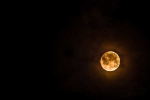 Ganesh Chaturthi, when not to see moon on ganesh chaturthi 2019, here s why you should not look at moon on ganesh chaturthi, Ganesh chaturthi festival