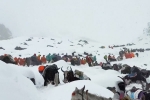 Mount Everest Snow storm escape, Mount Everest Snowstorm videos, more than 1000 stranded near mount everest because of snow storm, Hiking