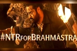 NTR guest for Brahmastra, Brahmastra, ntr turns chief guest for brahmastra event, Brahmastra telugu event