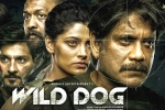 Wild Dog release poster, Nagarjuna, release date of nag s wild dog is out, Big screens