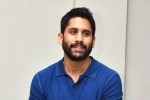 Naga Chaitanya news, Naga Chaitanya upcoming film, change of plans for naga chaitanya, Romantic comedy