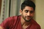 Naga Chaitanya new movie, Naga Chaitanya web series, naga chaitanya in talks for a web film, Web film Naga Chaitanya new movie, Naga Chaitanya web series, naga chaitanya in talks for a web film, Web film