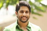 Naga Chaitanya news, Naga Chaitanya latest, naga chaitanya signs his next, Yuddham