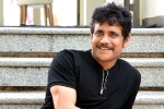 Naga Chaitanya, Nagarjuna upcoming projects, nagarjuna s 100th film will be a multi starrer, Nagarjuna 100th film