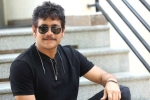 Nagarjuna 100th movie, Nagarjuna and Akhil film, nagarjuna s 100th film locked, Nagarjuna 100th film