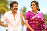 Bangarraju trailer, Naga Chaitanya, nagarjuna s bangarraju turns hot among sankranthi releases, Ashok galla