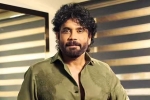 Nagarjuna Personal Rights news, Nagarjuna Personal Rights updates, delhi high on nagarjuna s personal rights, Arjun