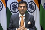 mea statement, mea statement, mea naya pakistan with naya soch should show naya action against terrorist groups, Cross border terrorism