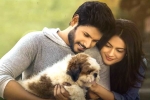 Ninu Veedani Needanu Nene telugu movie review, Sundeep Kishan movie review, ninu veedani needanu nene movie review rating story cast and crew, Tada Ninu Veedani Needanu Nene telugu movie review, Sundeep Kishan movie review, ninu veedani needanu nene movie review rating story cast and crew, Tada