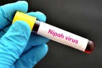 suspected Nipah Virus, Nipah Virus in South India, nipah virus is back again two deaths registered, Us department of state