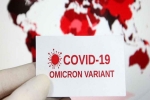 US scientists, WHO, omicron is no worse than other variants says us scientists, Vaccines