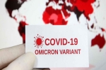 WHO, Omicron USA updates, omicron is no worse than other variants says us scientists, Anthony fauci