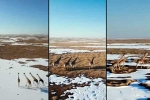 OpenAI Sora description, OpenAI Sora announced, openai s ai video platform sora is here, Scrat