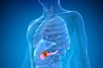 Pancreatic Cancer symptoms, Pancreatic Cancer tips, how to protect yourself from pancreatic cancer, B roll