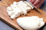 Paneer new updates, Paneer new updates, can you eat paneer every day for a week, Holi