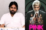 Pawan Kalyan in Pink, Pawan Kalyan remake, powerstar in talks for pink remake, Pink remake
