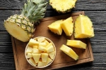Brazilian study, bromelain, pineapples as a possible wound healer recent brazilian study supports the claim, Brazilian study