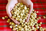 Pistachios advantages, Pistachios news, pistachios are a perfect protein snack, Walnuts