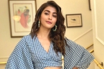 Pooja Hegde new film, Pooja Hegde next movie, pooja hegde in pink remake, Taapsee Pooja Hegde new film, Pooja Hegde next movie, pooja hegde in pink remake, Taapsee