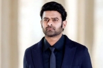 Prabhas Raja Deluxe, People Media Factory, new updates of prabhas and maruthi film, Boman irani