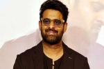 Prabhas Vintage King title, Prabhas Vintage King look, interesting title for prabhas next, Maruthi