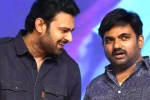 Prabhas and Maruthi film title, Prabhas and Maruthi film release news, new title for prabhas and maruthi film, Nidhhi agerwal