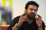 Prabhas upcoming films, Malavika Mohanan, two young beauties in talks for prabhas next, Pelli sandad