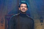Prabhas surgery, Prabhas breaking news, prabhas struggling to cut down his weight, Prabhas weight Prabhas surgery, Prabhas breaking news, prabhas struggling to cut down his weight, Prabhas weight