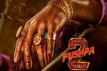 Pushpa: The Rule updates, Allu Arjun, allu arjun s dedication for pushpa the rule, Rockstar 2