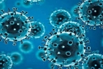 R.1 Coronavirus dangerous updates, USA, r 1 variant of coronavirus traced in 35 countries, Coronavirus usa