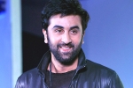 Ranbir Kapoor news, Ranbir Kapoor latest, ranbir kapoor s cameo in srk s next, Ae dil hai mushkil