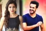 Samantha latest updates, Samantha upcoming release, samantha and akhil to clash in august, Bollywood films
