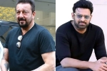 Sanjay Dutt Maruthi film, Sanjay Dutt next movie, sanjay dutt s makeover for prabhas, Maruthi