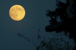 Supermoon 2025 latest breaking, Supermoon 2025 science, science behind supermoon explained, Pears Supermoon 2025 latest breaking, Supermoon 2025 science, science behind supermoon explained, Pears