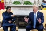 trump, US senators, senators urge trump to mediate between india and pakistan, Lindsay