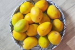 Soak Mangoes health experts, Soak Mangoes breaking, soak mangoes for 30 minutes before eating, Calories