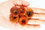 Soaked Anjeer health benefits, Soaked Anjeer, can you take soaked anjeer every day, Pms
