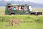 South African Safari Trip plan, South African Safari Trip places, how to plan your south african safari trip, Walking