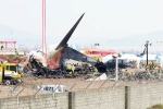 South Korea Plane Crash latest update, South Korea Plane Crash reason, pilot made mayday call and mentioned bird strike in south korea plane crash, Kidding