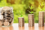 state bank of India nri accounts, nri accounts, everything you need to know about state bank of india nri accounts, Indian banks