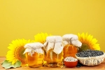 Sunflower Oil doctors, Sunflower Oil long term effects, long term effects of consuming sunflower oil on heart health, Hero