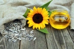 Sunflower seeds health benefits, Sunflower seeds health benefits, sunflower seeds and their nutritional benefits, Healthy skin