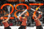 Sunrisers Hyderabad news, Sunrisers Hyderabad latest, sunrisers hyderabad scripts history in ipl, Glenn maxwell