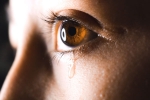 does crying make you lose your appetite, does crying make you lose your appetite, tears can help you lose weight especially if it s between 7 p m to 10 p m claims study, Crocodile