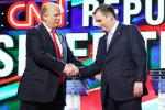 Democrats, Ted Cruz, ted cruz says donald trump is a bully, Presidential primaries