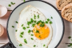 health benefits, health benefits, top 5 benefits of eggs that ll make you to eat them every day, Calories
